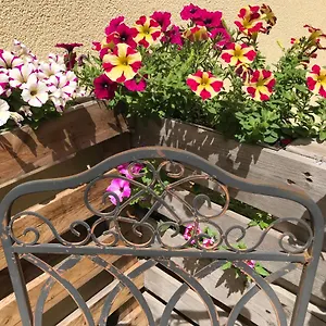 Naturapur Apartment